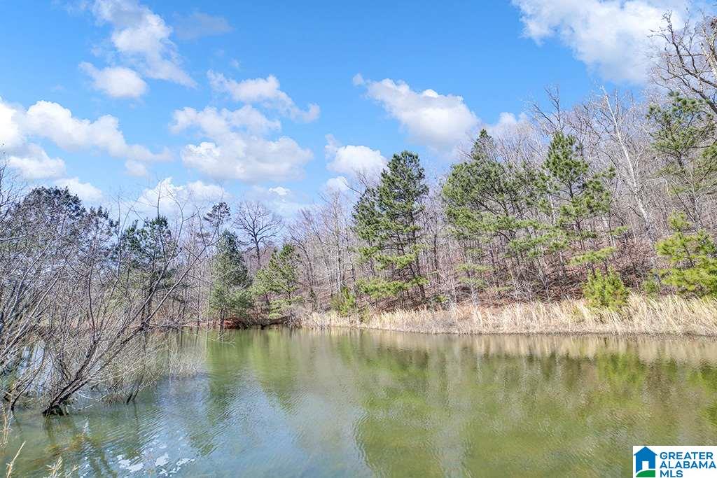 39080 Highway 231 Steele, AL 35987 - Photo 9 of 37
