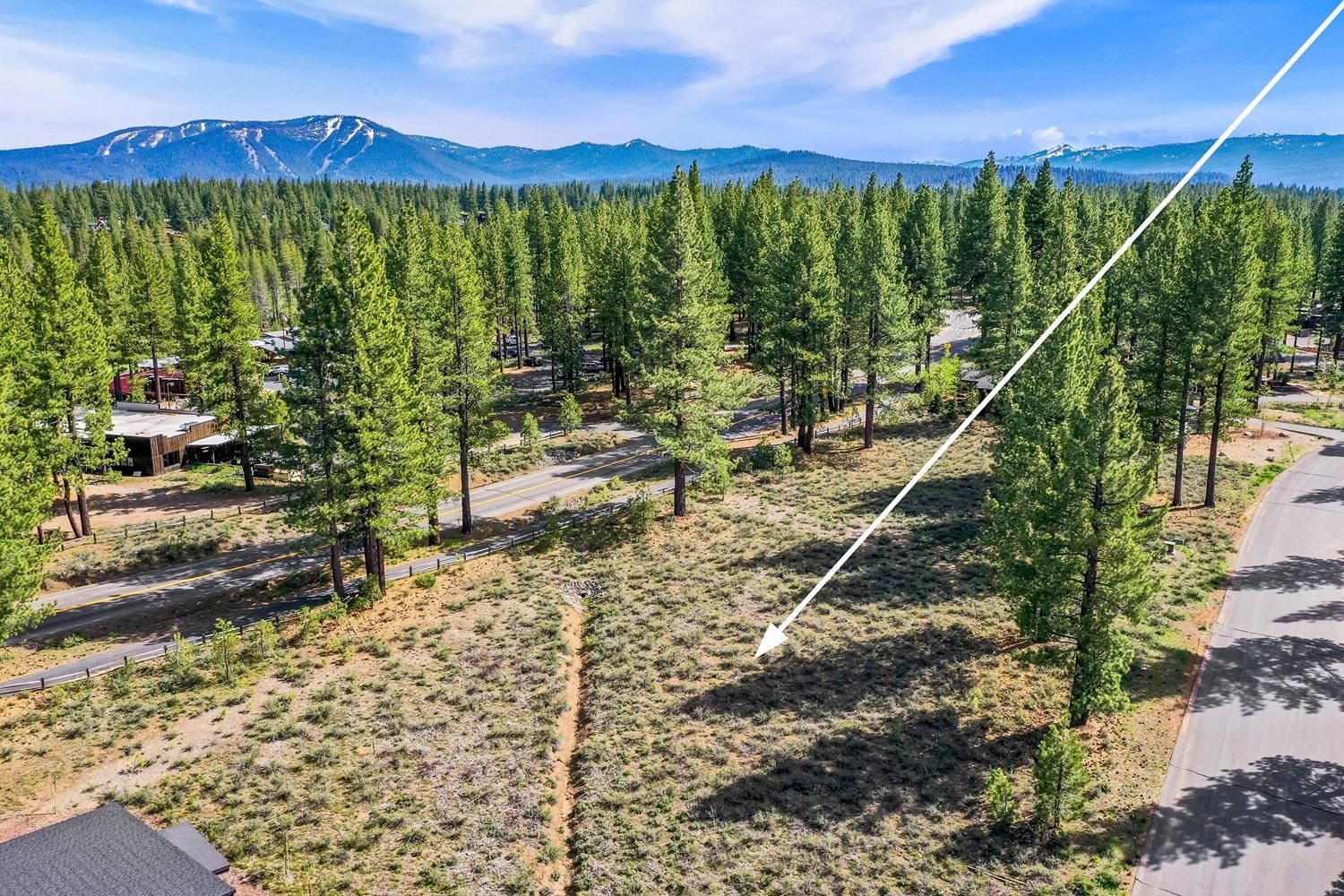 11199 Henness Road Truckee, CA 96161 - Photo 1 of 19 a view of a city with lush green forest
