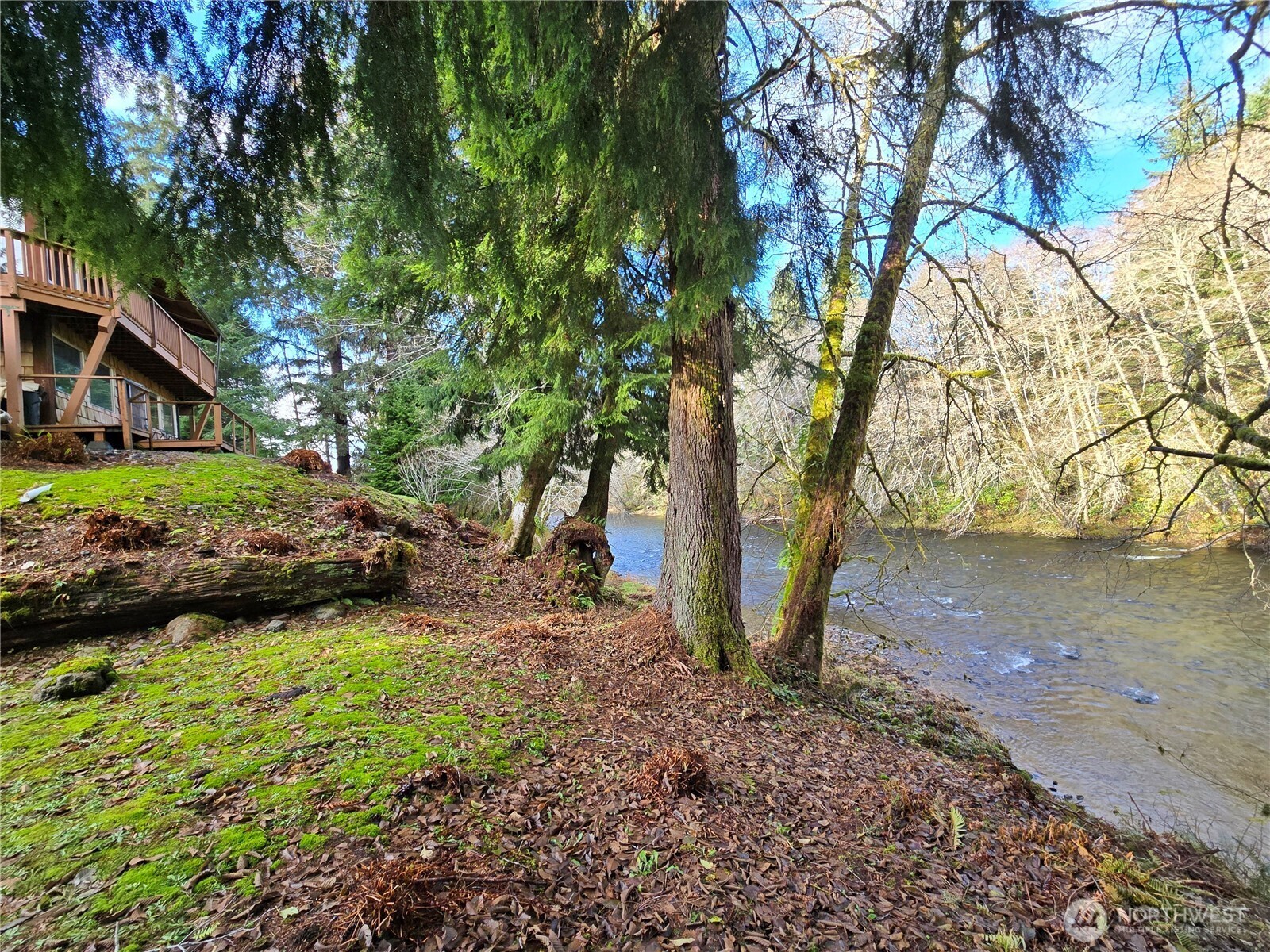 1405 Merchants Road Forks, WA 98331 - Photo 1 of 33 Gallery Image 1