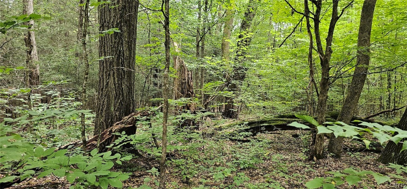 Union Hill Road Newark Valley, NY 13811 - Photo 18 of 25 Gallery Image 18