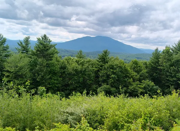 $199,999 | 0 Cat Hole Road, Claremont, NH 03743