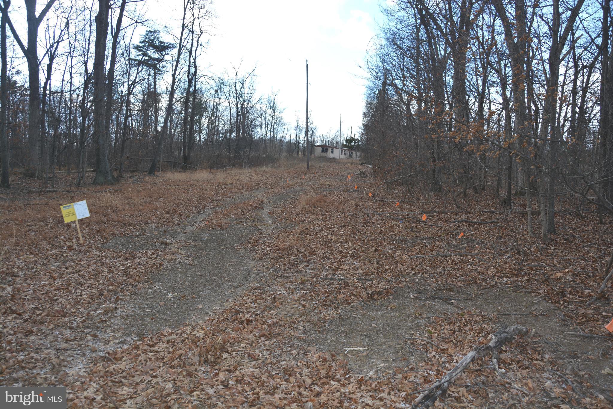 South Timber Ridge Road Cross Junction, VA 22625 - Photo 4 of 6 Power lines on front of Land