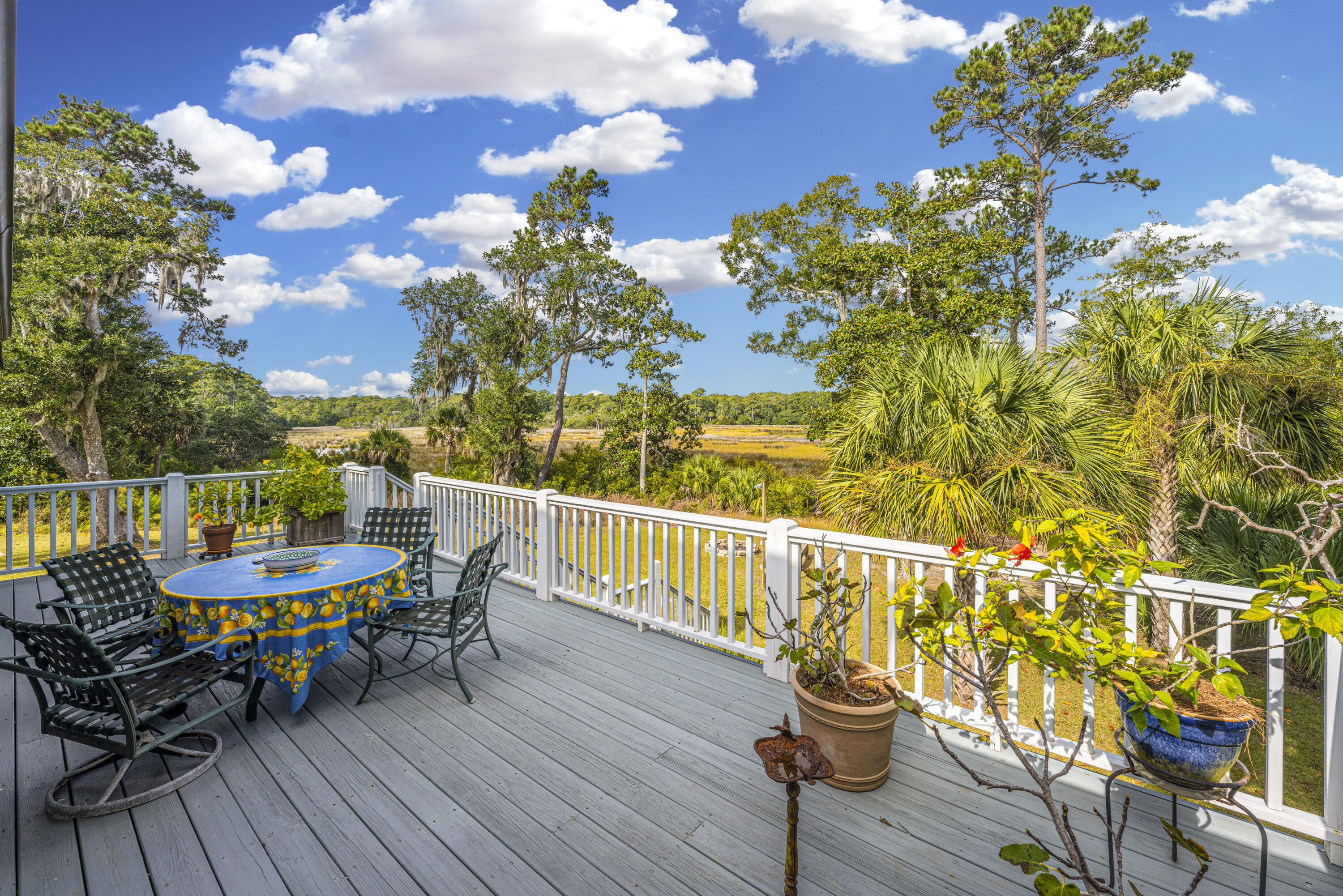 8534 Palmetto Road Edisto Island, SC 29438 - Photo 15 of 56 8534PalmettoRd002