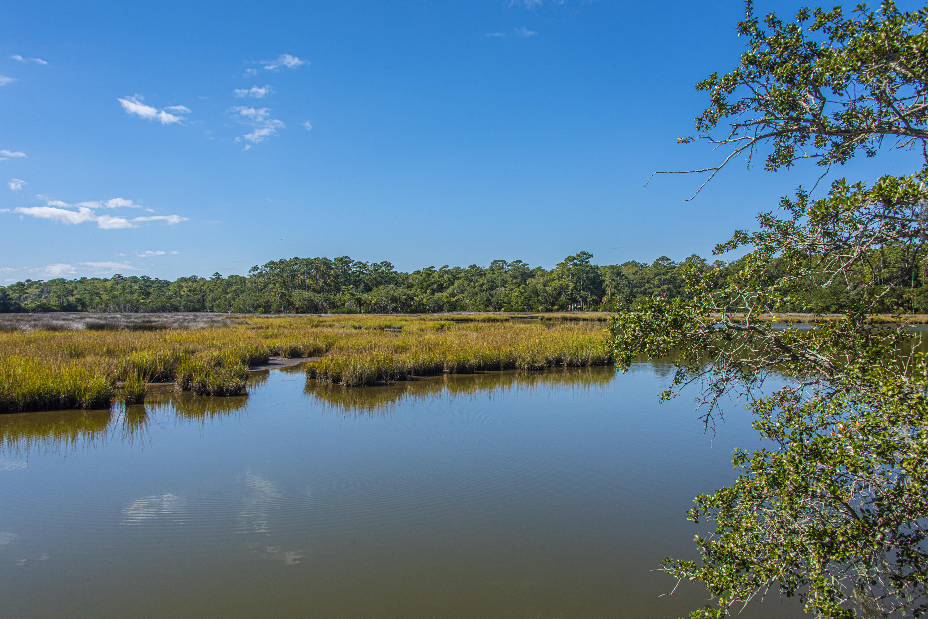 8534 Palmetto Road Edisto Island, SC 29438 - Photo 16 of 56 8534PalmettoRd077