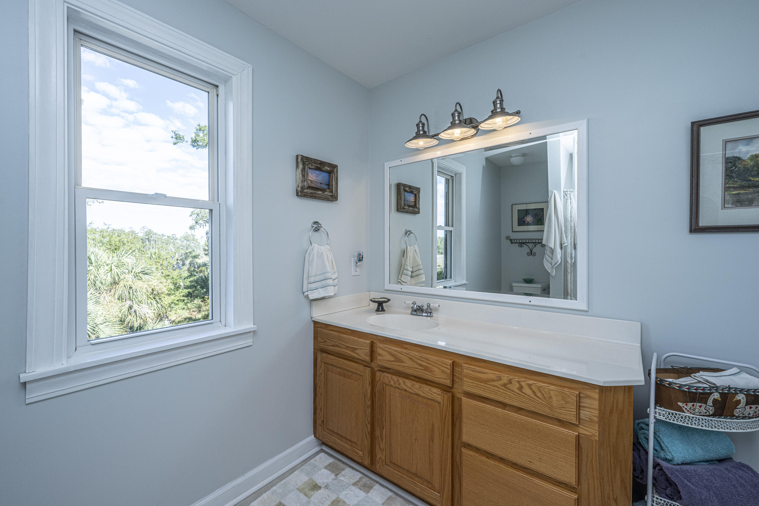 8534 Palmetto Road Edisto Island, SC 29438 - Photo 29 of 56 IMG_8473-preview