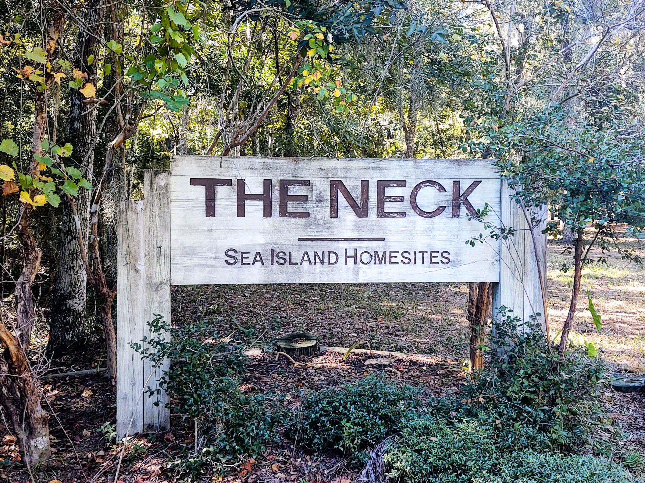 8534 Palmetto Road Edisto Island, SC 29438 - Photo 42 of 56 0-2 (1)