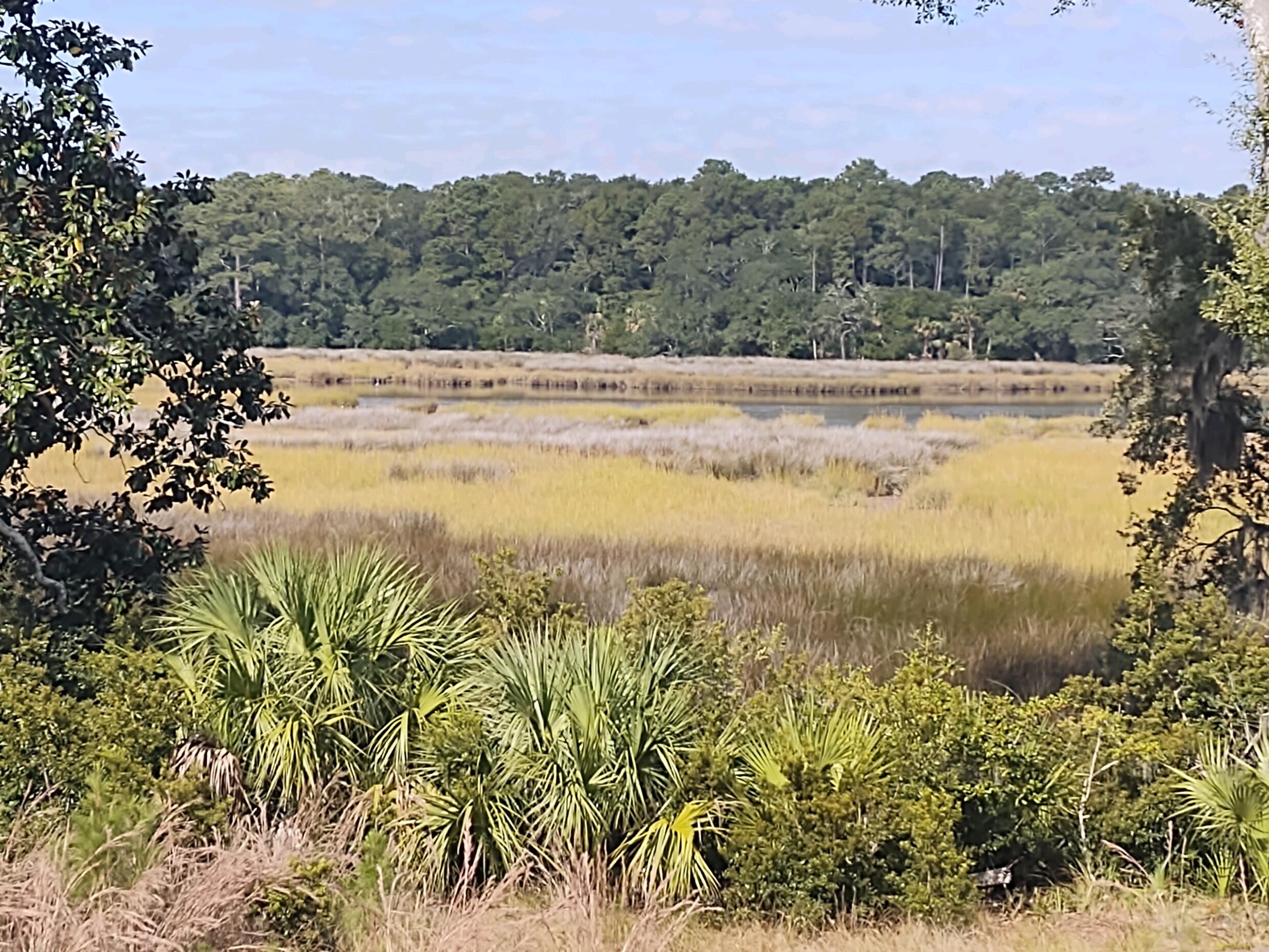 8534 Palmetto Road Edisto Island, SC 29438 - Photo 48 of 56 8534PalmettoRd058