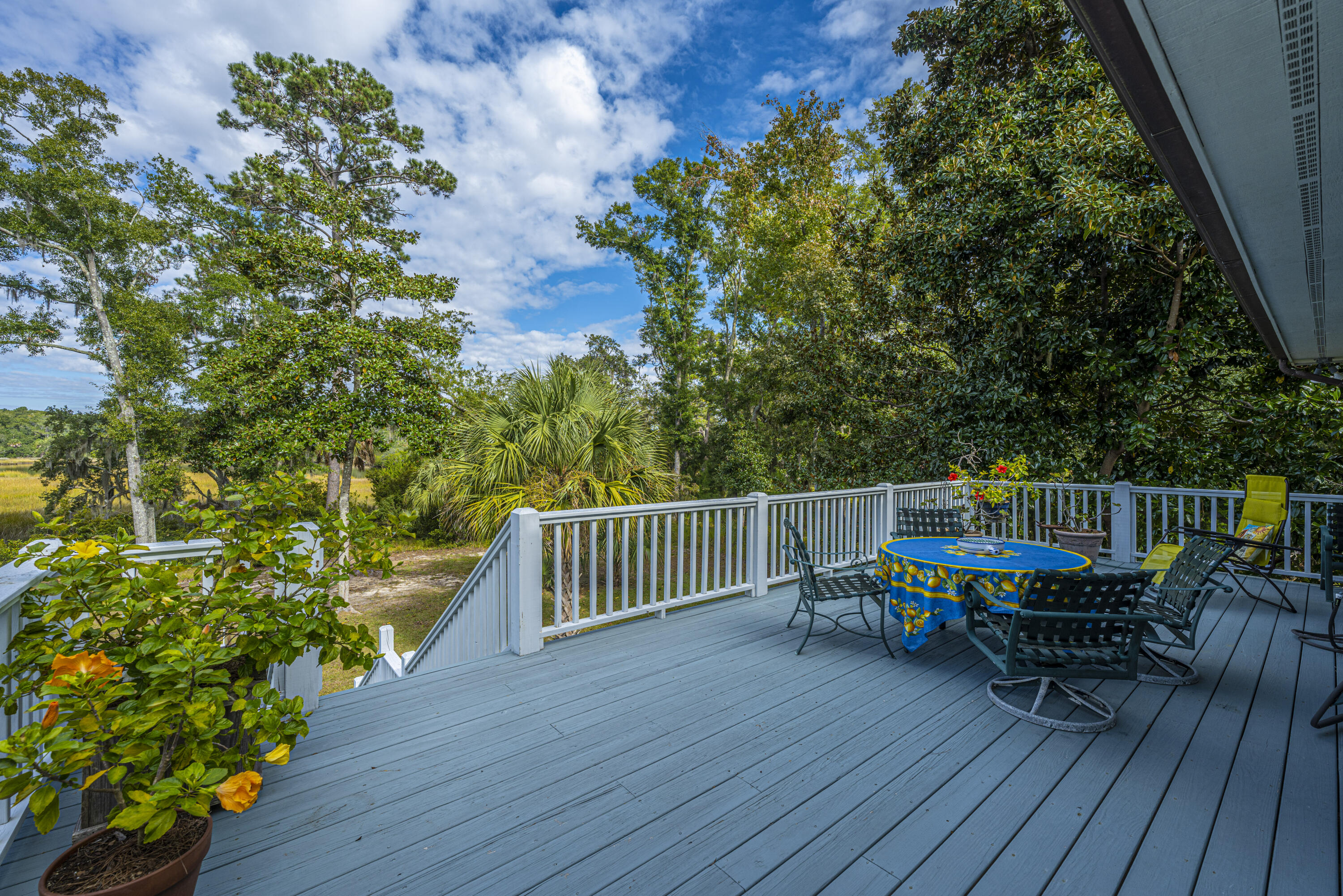 8534 Palmetto Road Edisto Island, SC 29438 - Photo 50 of 56 8534PalmettoRd064