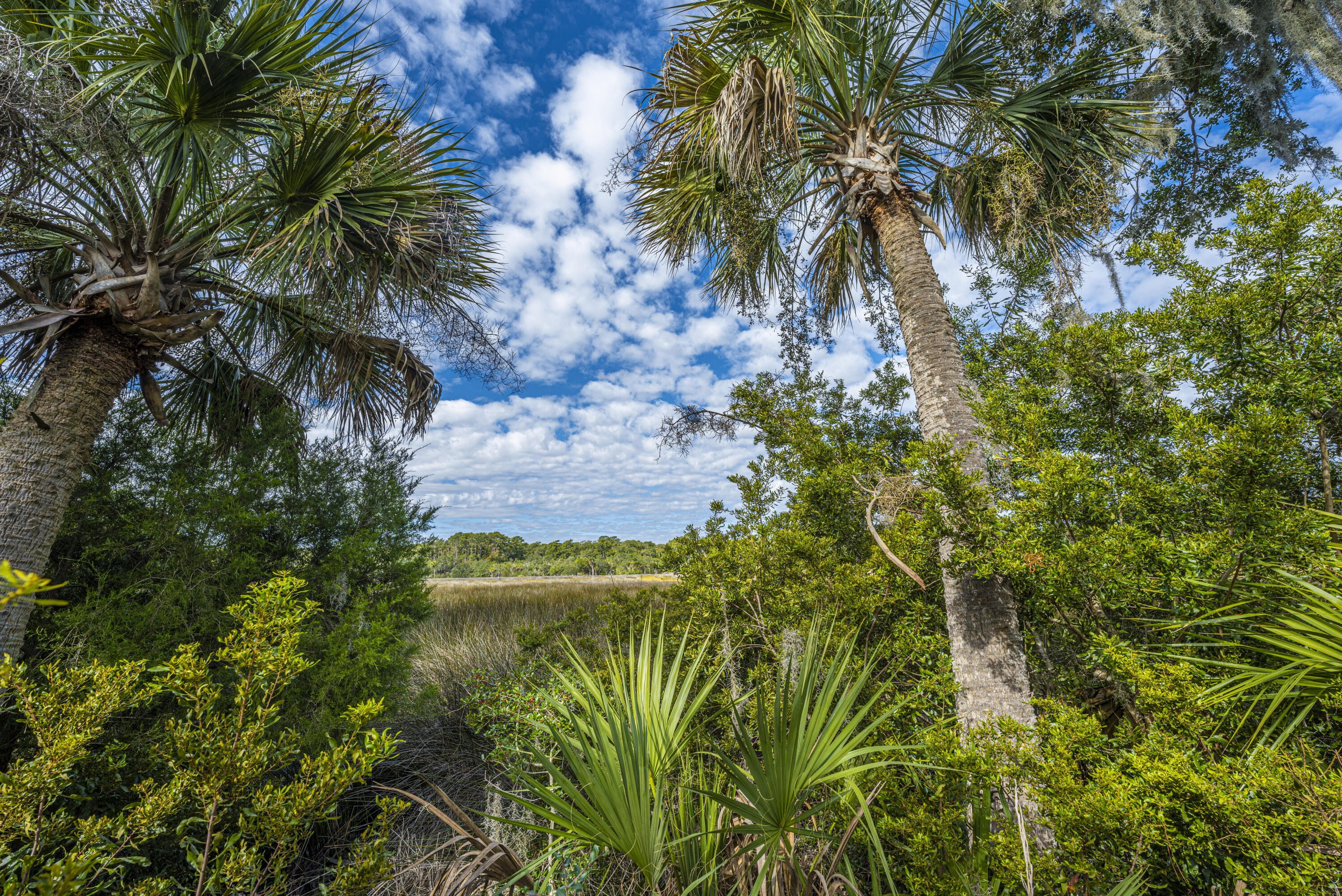 8534 Palmetto Road Edisto Island, SC 29438 - Photo 54 of 56 8534 Palmetto Rd Edisto Island-9 labled