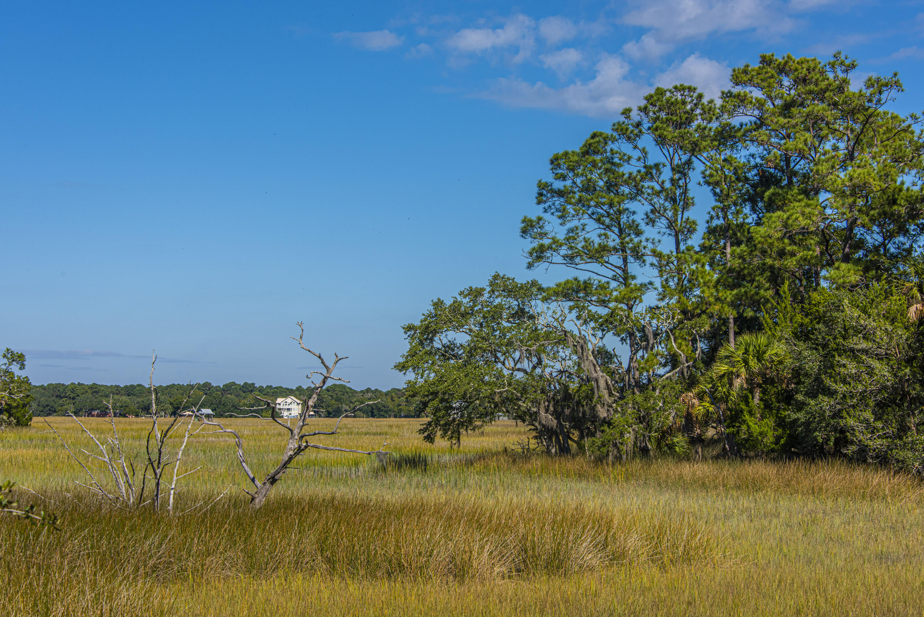 8534 Palmetto Road Edisto Island, SC 29438 - Photo 7 of 56 8534PalmettoRd083