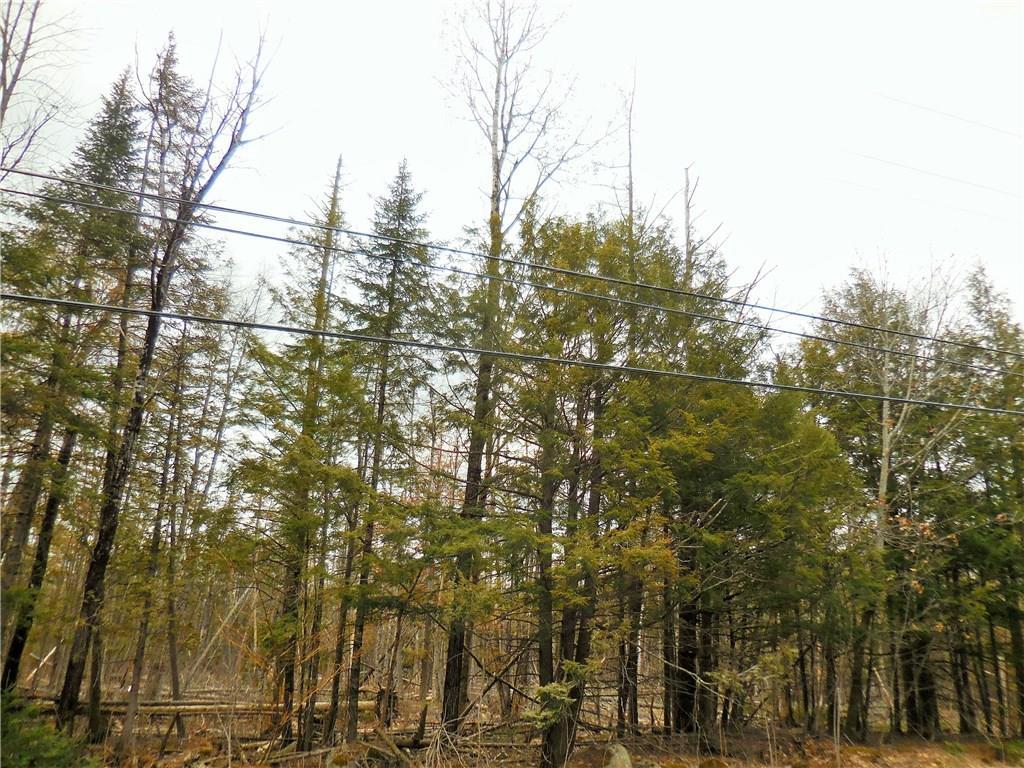 49 N Road Detroit, ME 04929 - Photo 2 of 5 Photo