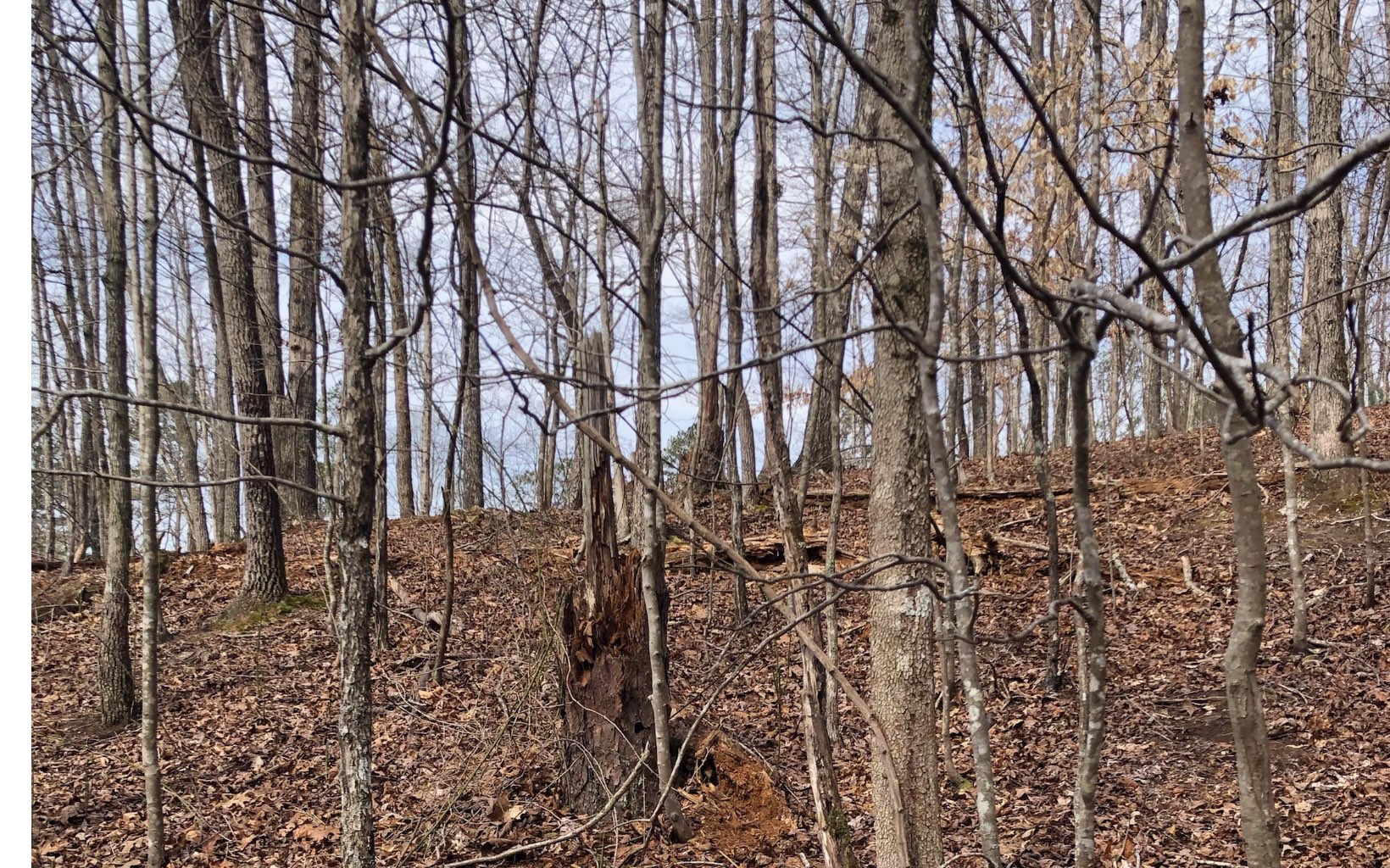 a view of a backyard of the house