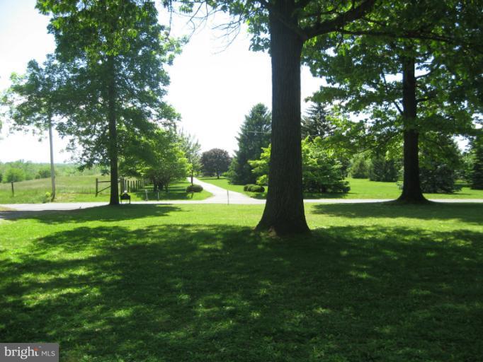 1172 Russell Road Berryville, VA 22611 - Photo 11 of 27 Front Yard