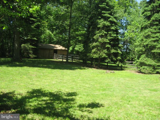 1172 Russell Road Berryville, VA 22611 - Photo 4 of 27 Backyard w/ Barn