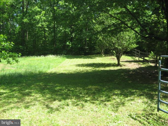 1172 Russell Road Berryville, VA 22611 - Photo 6 of 27 Fenced Paddock