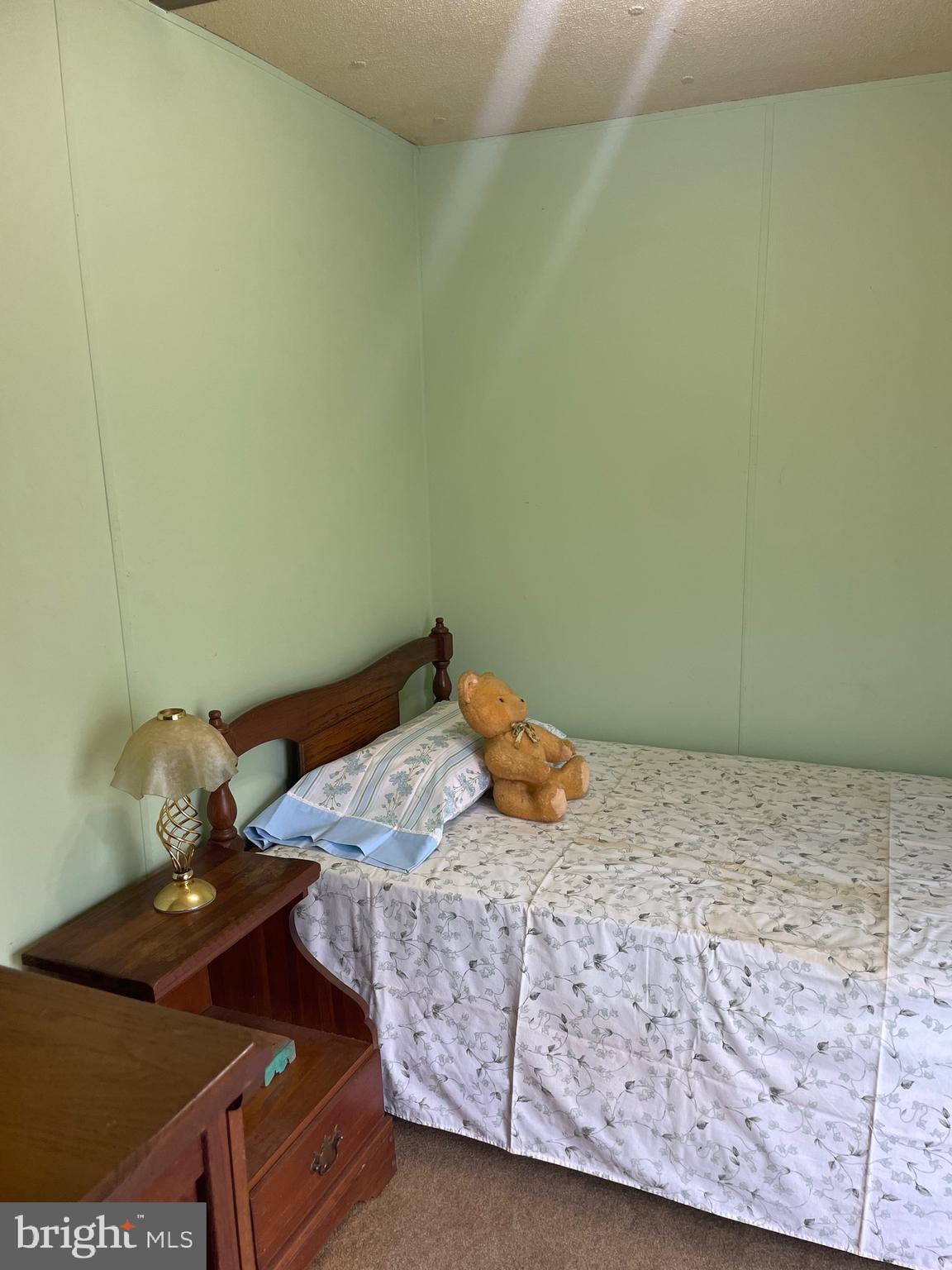 5963 Carpenter Bridge Road Felton, DE 19943 - Photo 20 of 31 Bedroom 2