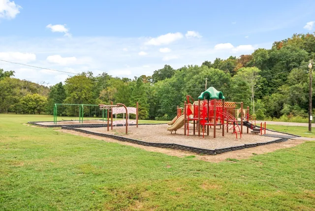 a view of a park with large trees
