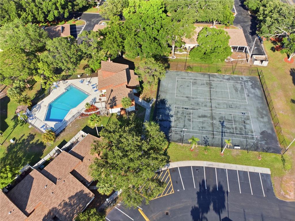 2058 Sunset Point Road, Unit 15 Clearwater, FL 33765 - Photo 47 of 52