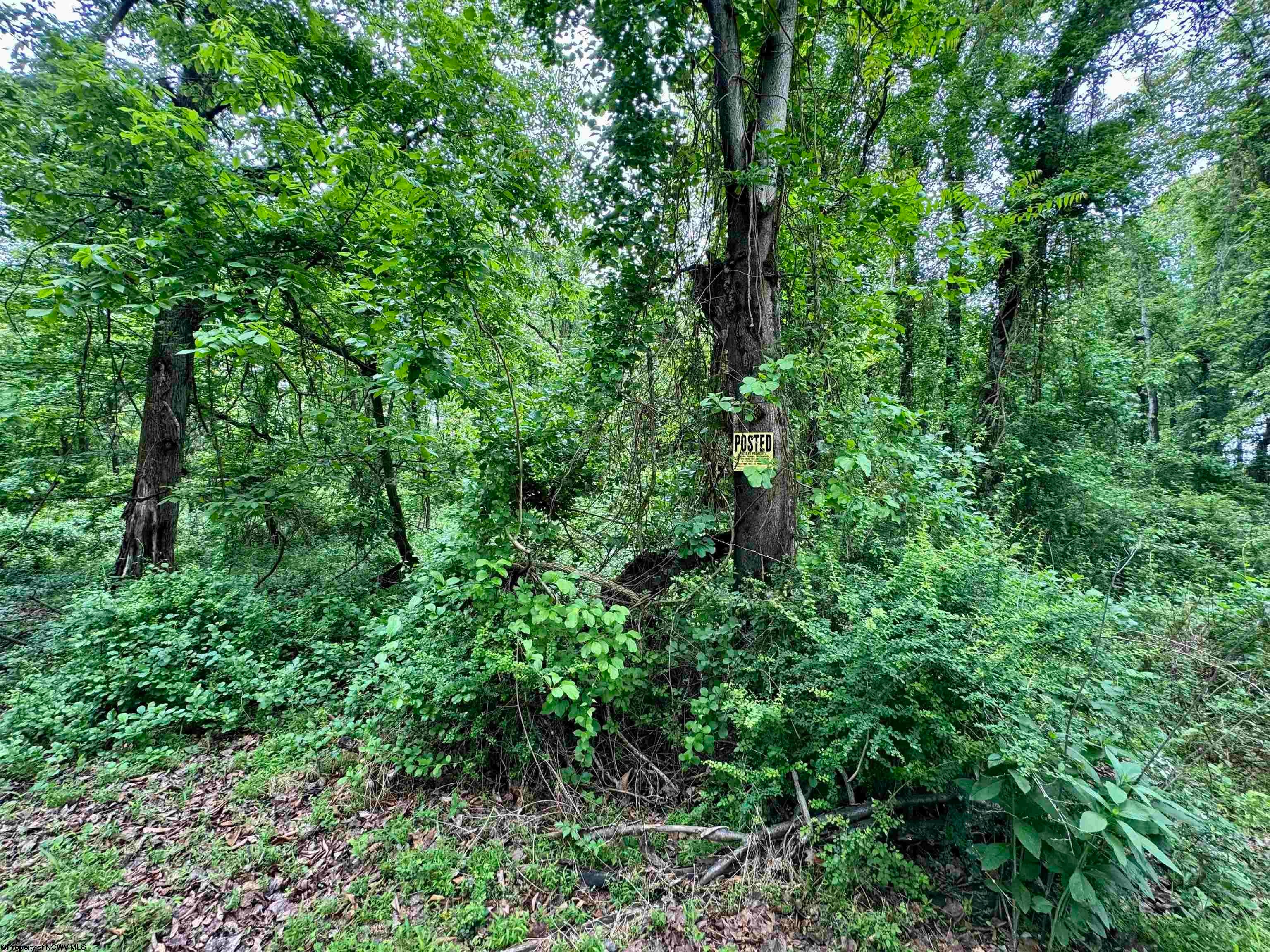 Tbd Hopewell Road Fairmont, WV 26554 - Photo 27 of 35 Gallery Image 27