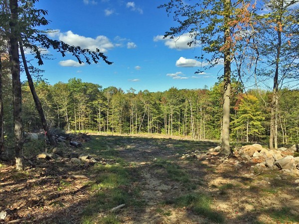 Lot 3 Locke Hill Road Wendell, MA 01379 - Photo 2 of 20 Gallery Image 2