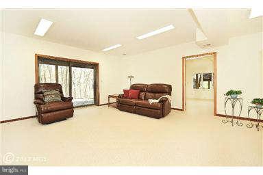 436 Utterback Store Road Great Falls, VA 22066 - Photo 24 of 30 rec room