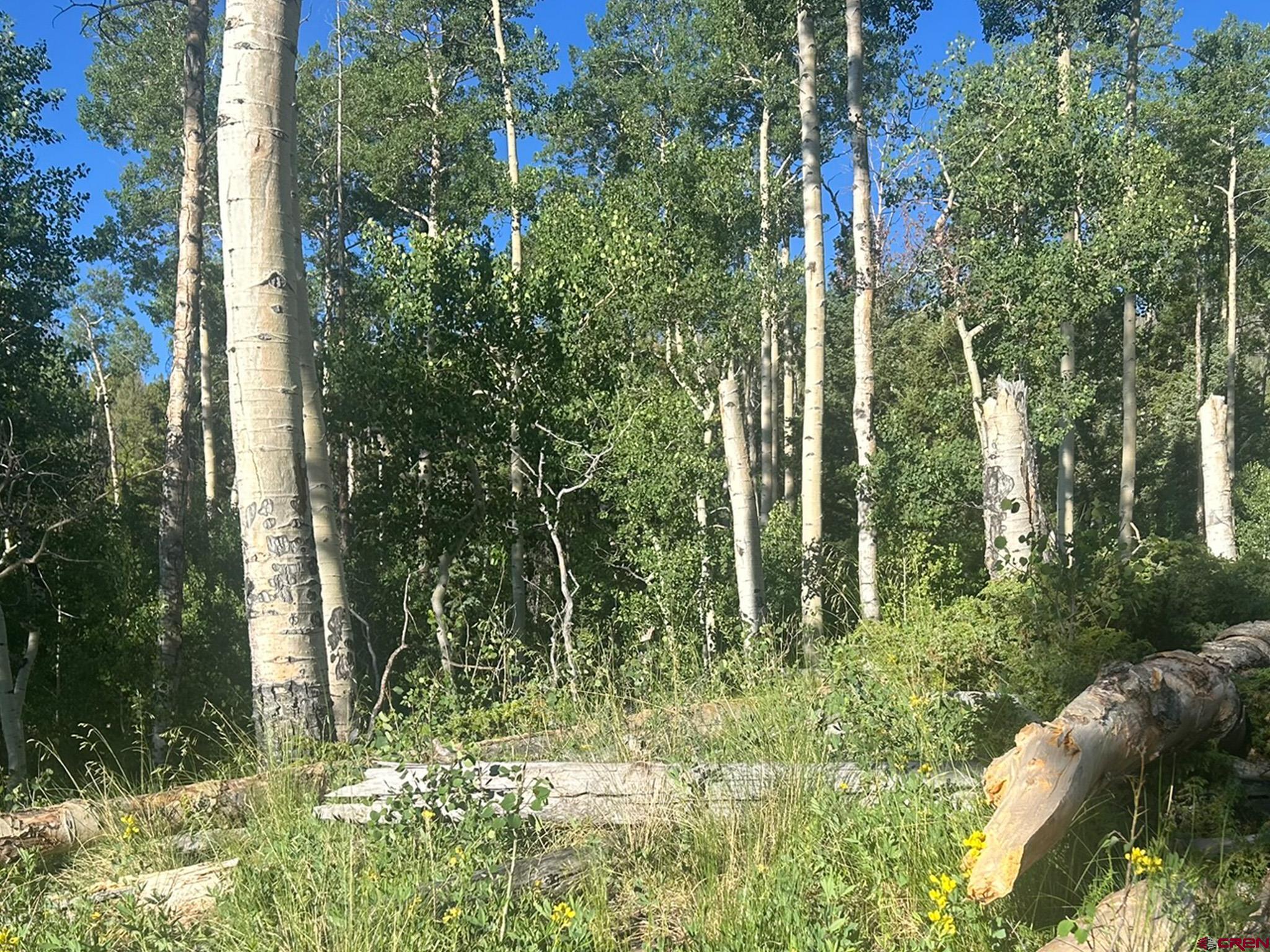 13 Bonanza Road Villa Grove, CO 81155 - Photo 18 of 36