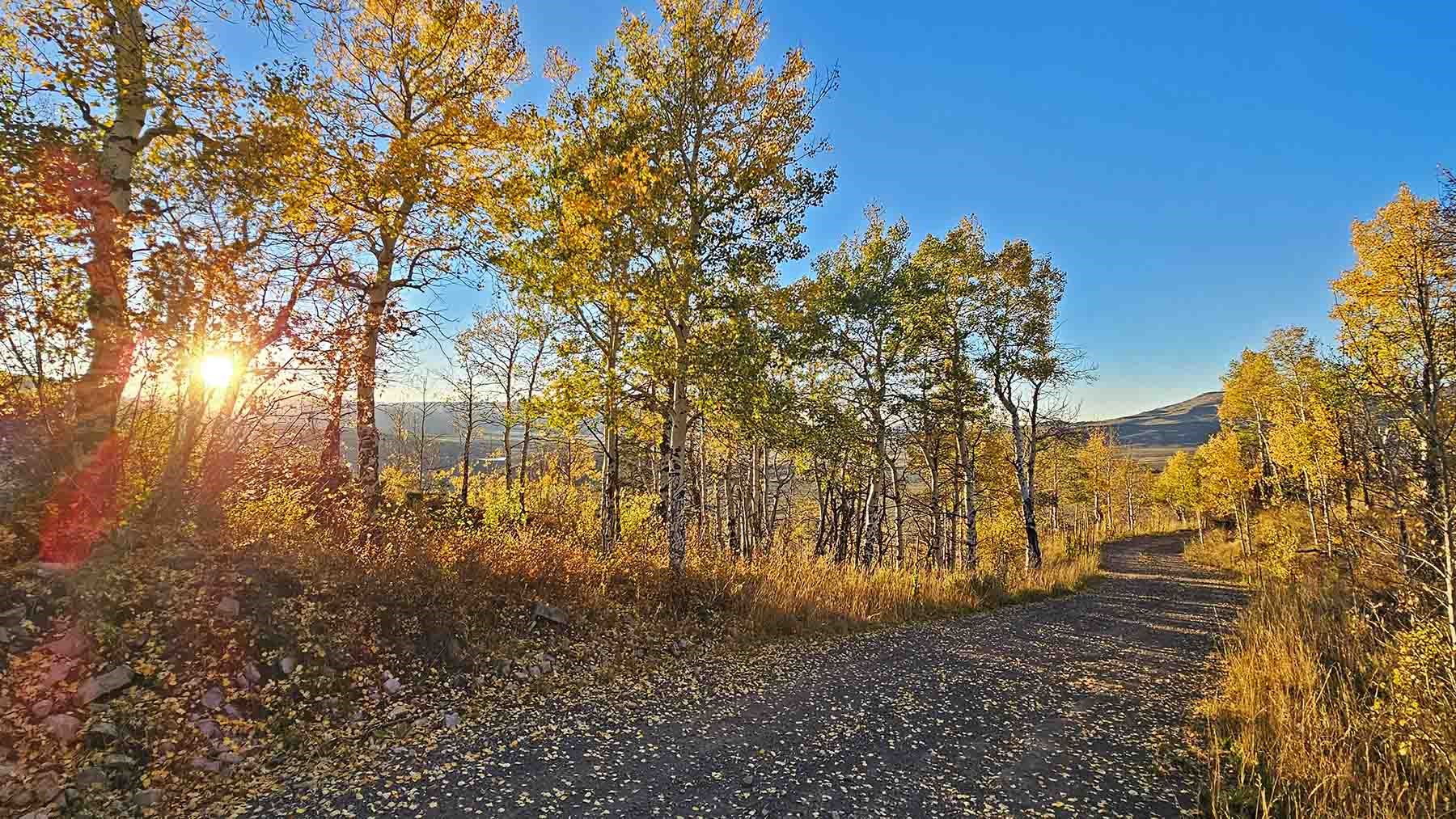 6495 Long Ridge Toponas, CO 80479 - Photo 6 of 50 Gallery Image 6