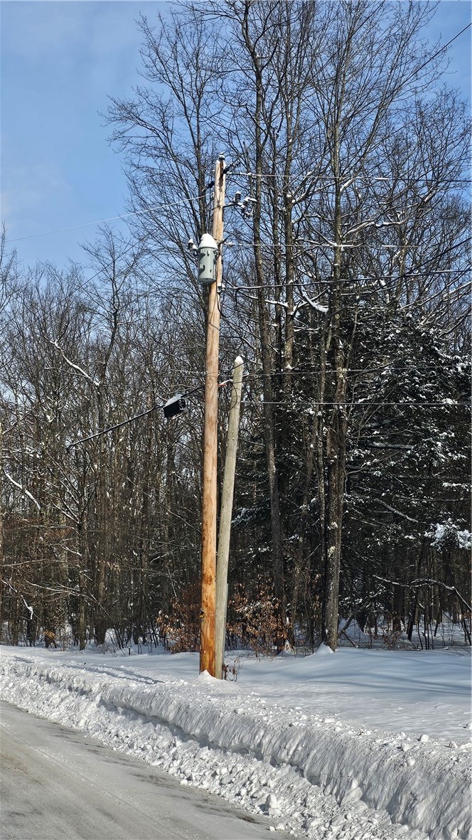 Parker Hollow Road Unadilla, NY 13849 - Photo 4 of 5 Utility pole across the road.