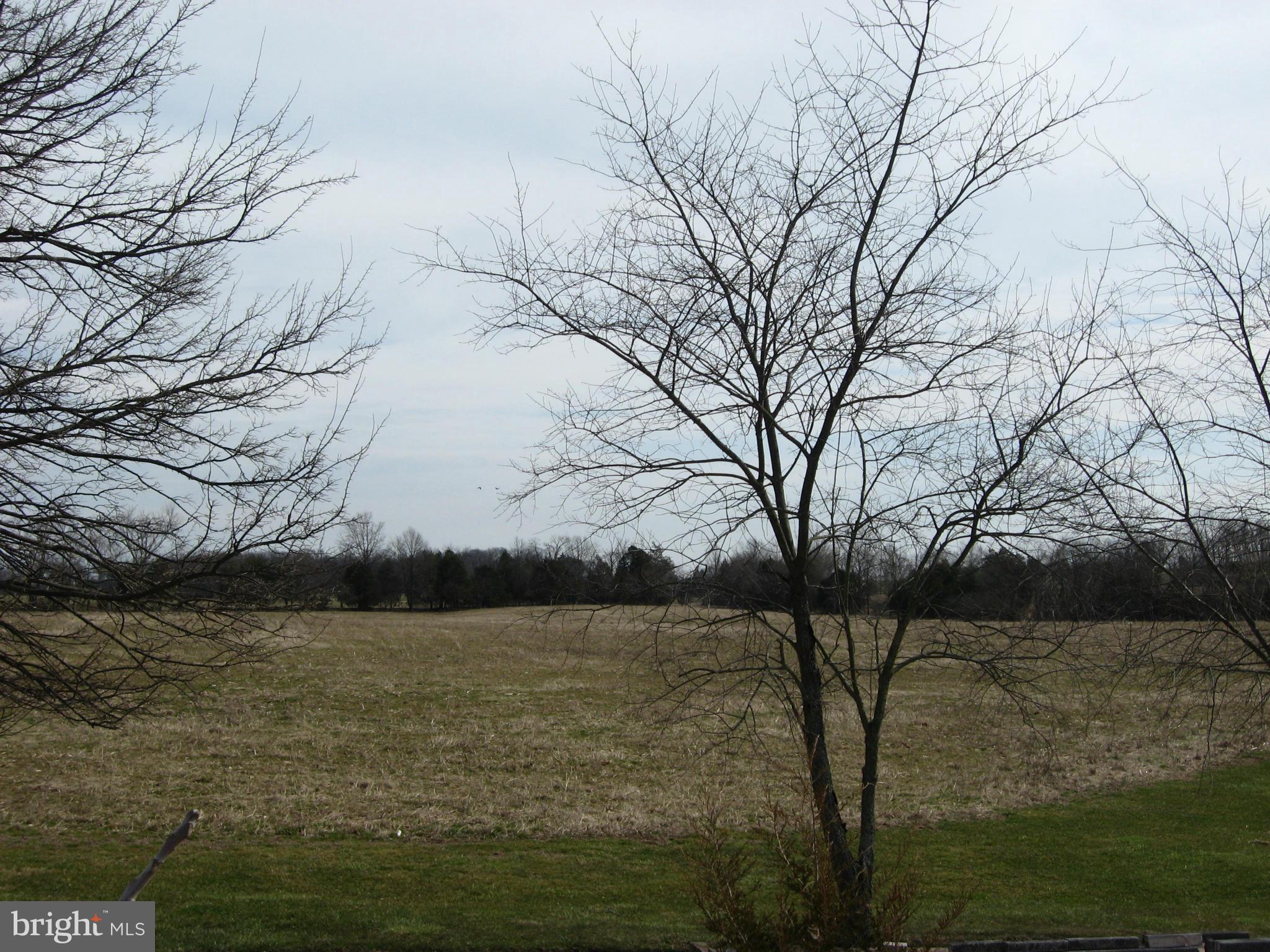 3296 Bullfrog Road Taneytown, MD 21787 - Photo 4 of 7 a view of lake with outdoor space