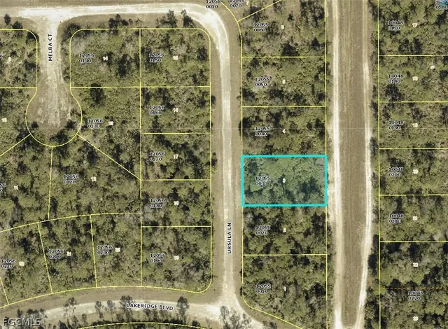 $16,000 | 354 Ursula Lane, Lehigh Acres, FL 33920