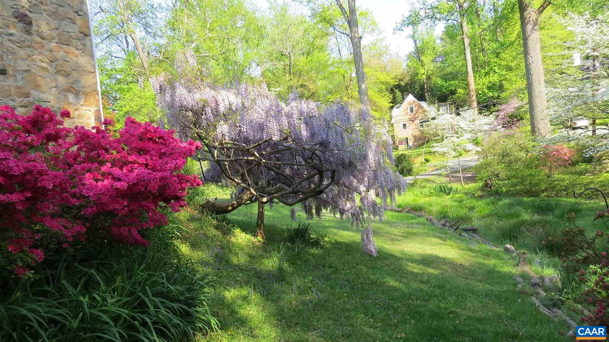 123 Cameron Lane Charlottesville, VA 22903 - Photo 33 of 43 a view of swings and flowers