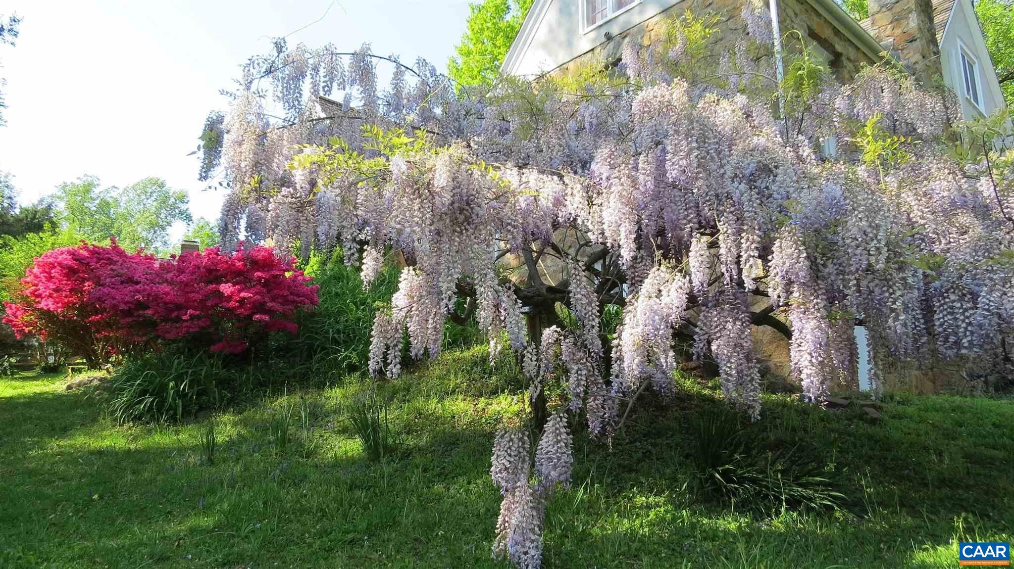 123 Cameron Lane Charlottesville, VA 22903 - Photo 35 of 43 a view of a flower in a yard