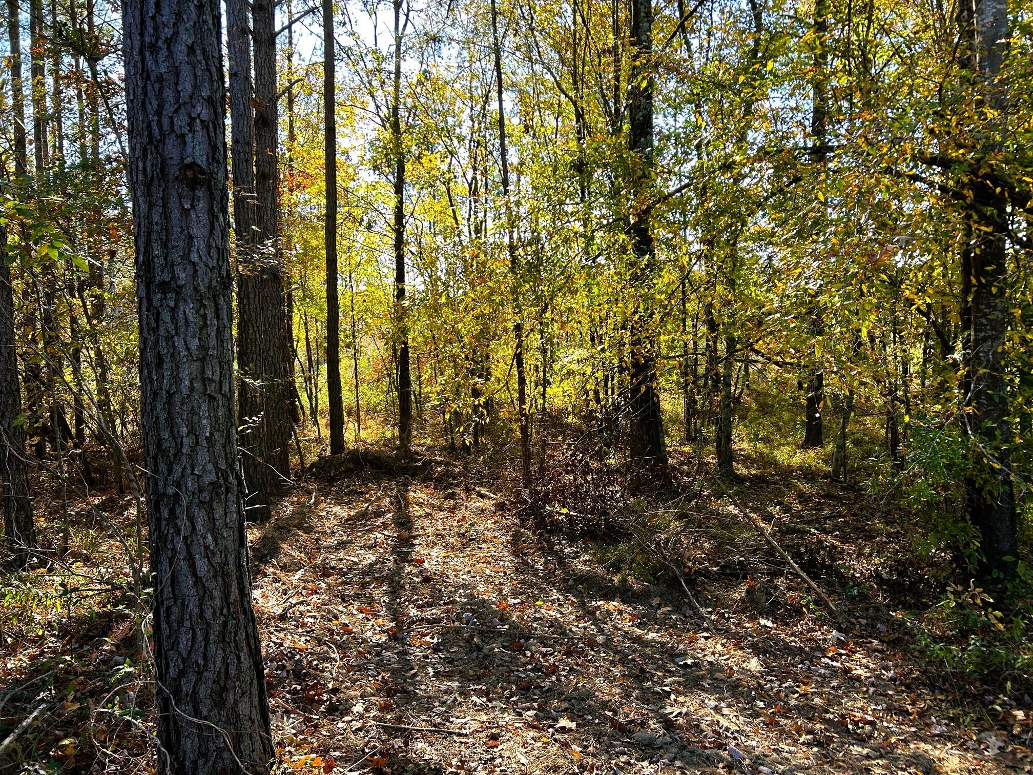 17 Hughes Lake Road Southeast Cleveland, TN 37323 - Photo 10 of 25
