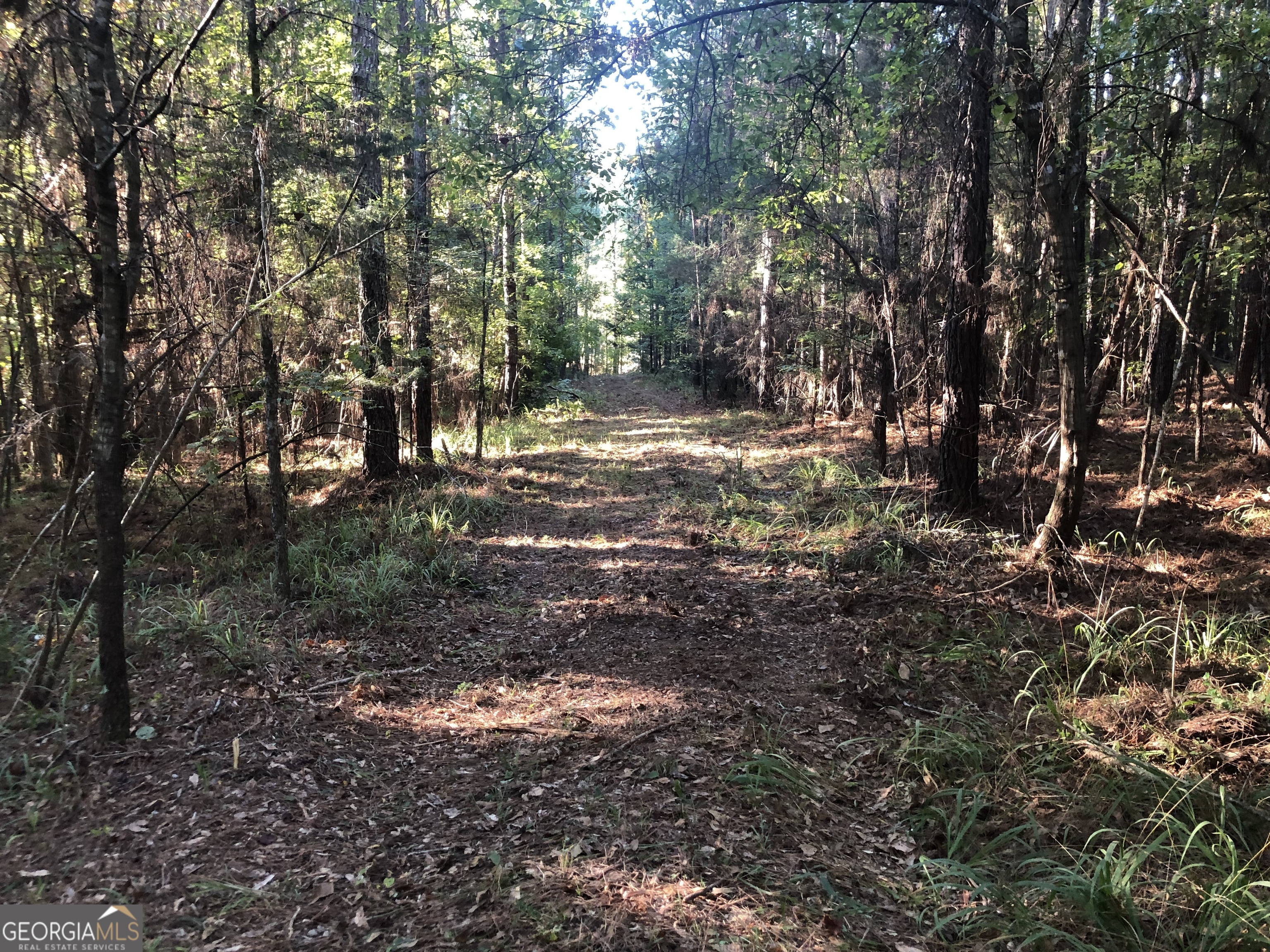 Lot 10 Triune Mill Road Thomaston, GA 30286 - Photo 4 of 30