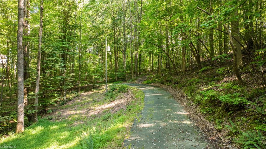 3269 Earnhardt Road Sophia, NC 27350 - Photo 24 of 34