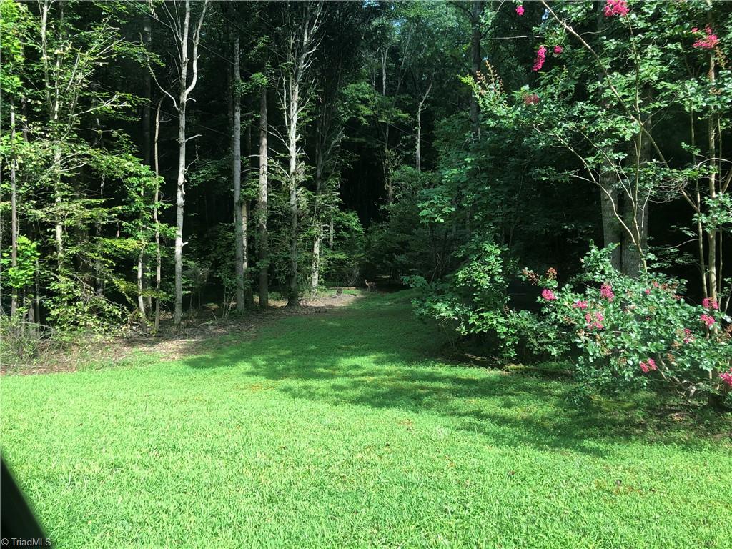 3269 Earnhardt Road Sophia, NC 27350 - Photo 27 of 34