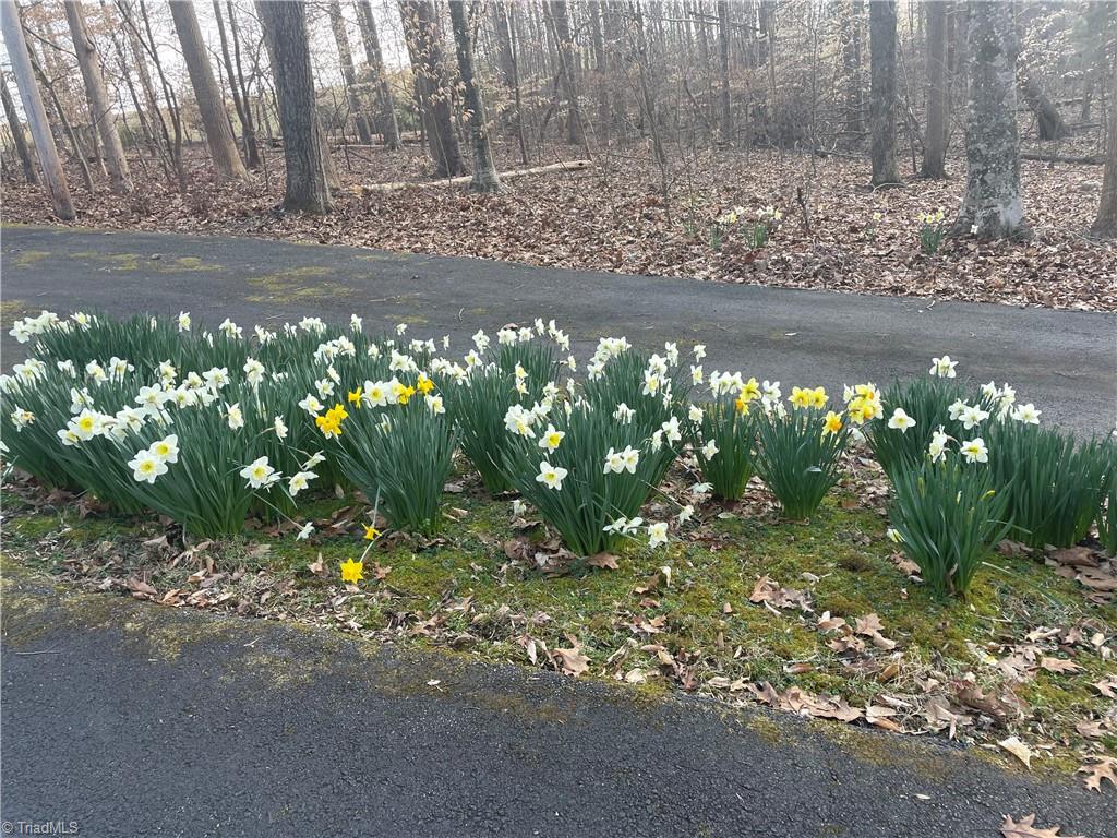 3269 Earnhardt Road Sophia, NC 27350 - Photo 28 of 34