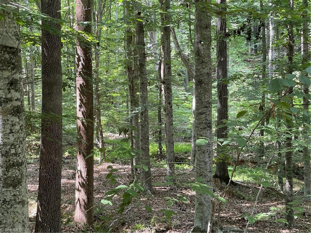 3269 Earnhardt Road Sophia, NC 27350 - Photo 29 of 34