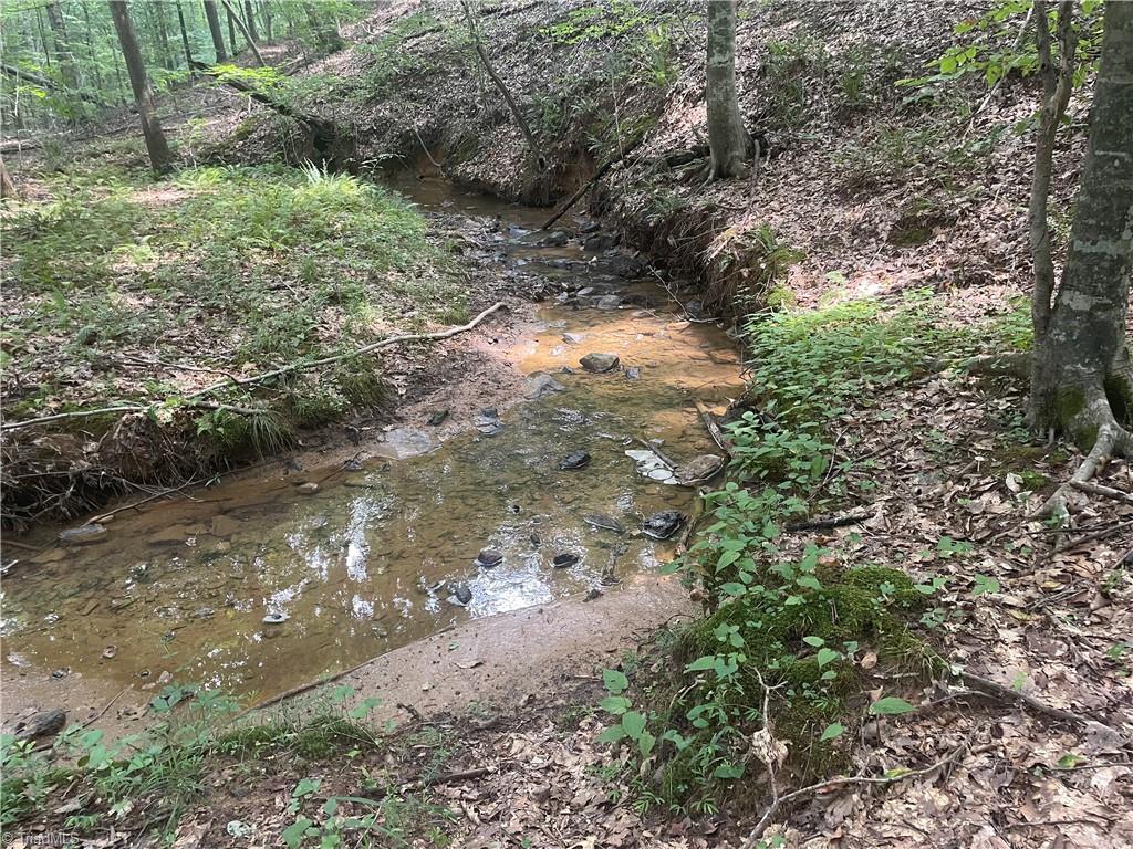 3269 Earnhardt Road Sophia, NC 27350 - Photo 30 of 34 Creek running through the property