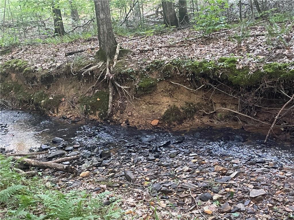 3269 Earnhardt Road Sophia, NC 27350 - Photo 31 of 34