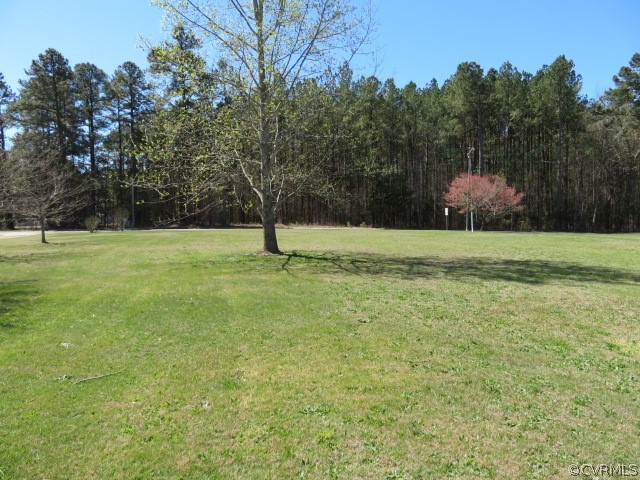 15212 Wilkinson Road Dinwiddie, VA 23841 - Photo 17 of 46 a view of a field with a tree
