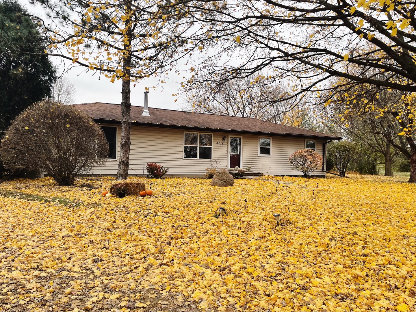 a front view of house with yard