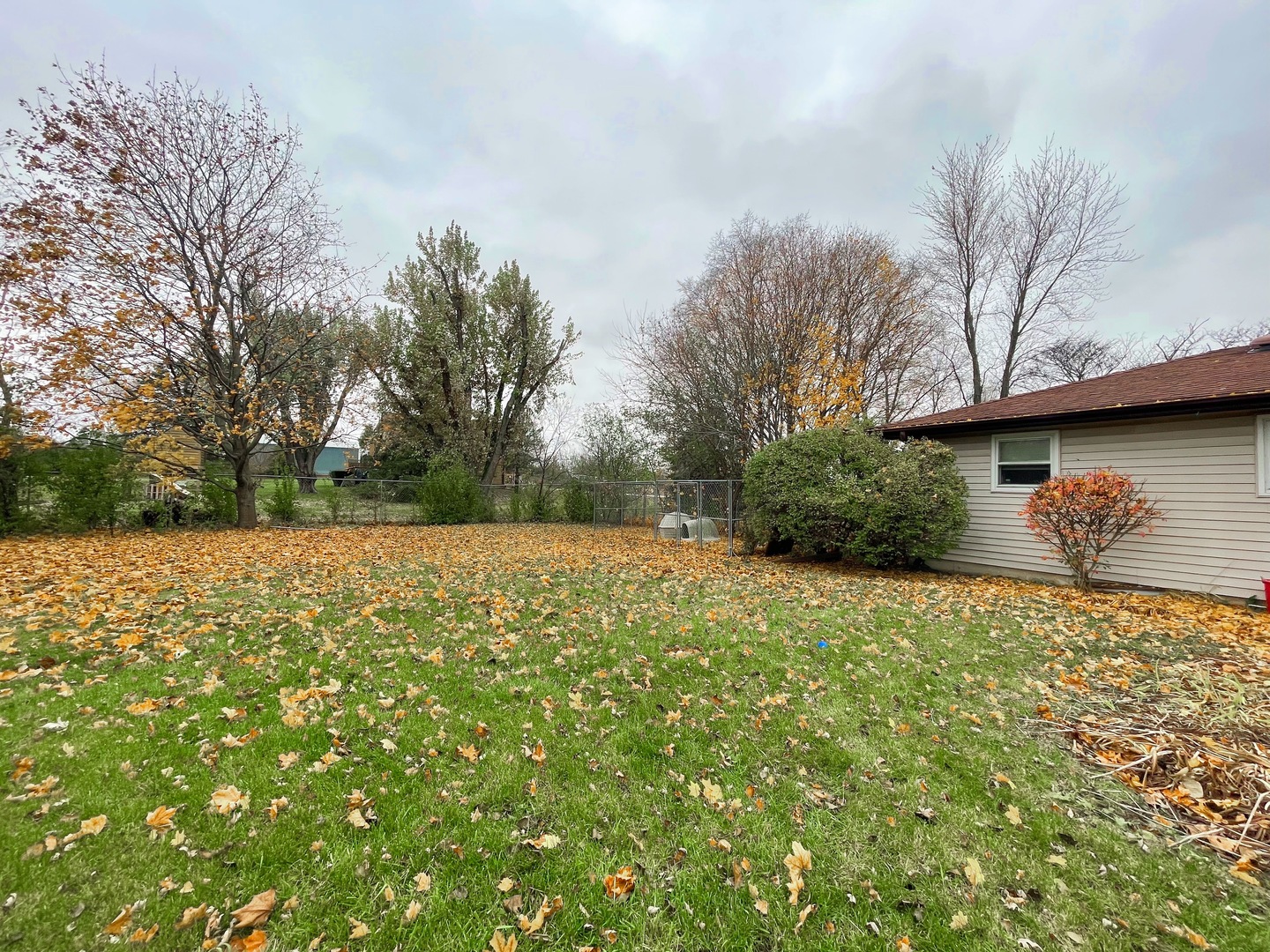 3214 Stieg Road Woodstock, IL 60098 - Photo 16 of 20 a view of a backyard with large trees