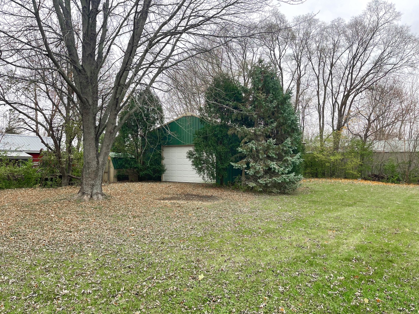 3214 Stieg Road Woodstock, IL 60098 - Photo 18 of 20 a tall tree is sitting in middle of forest