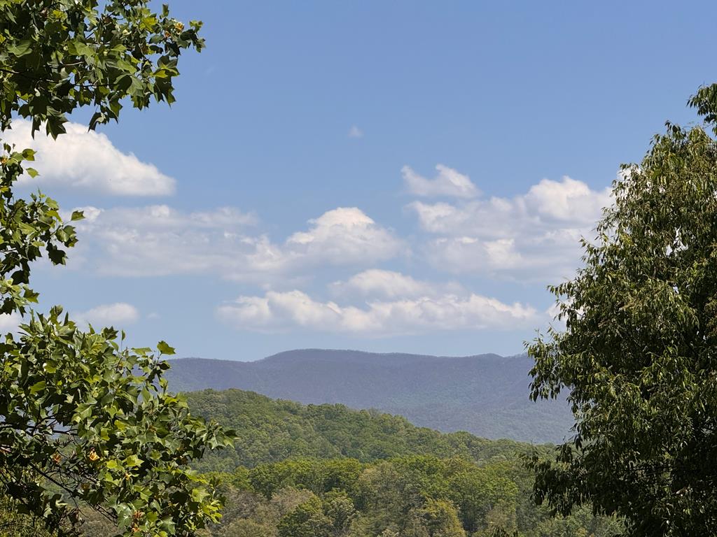 197 Eagles View Road Hayesville, NC 28904 - Photo 4 of 70