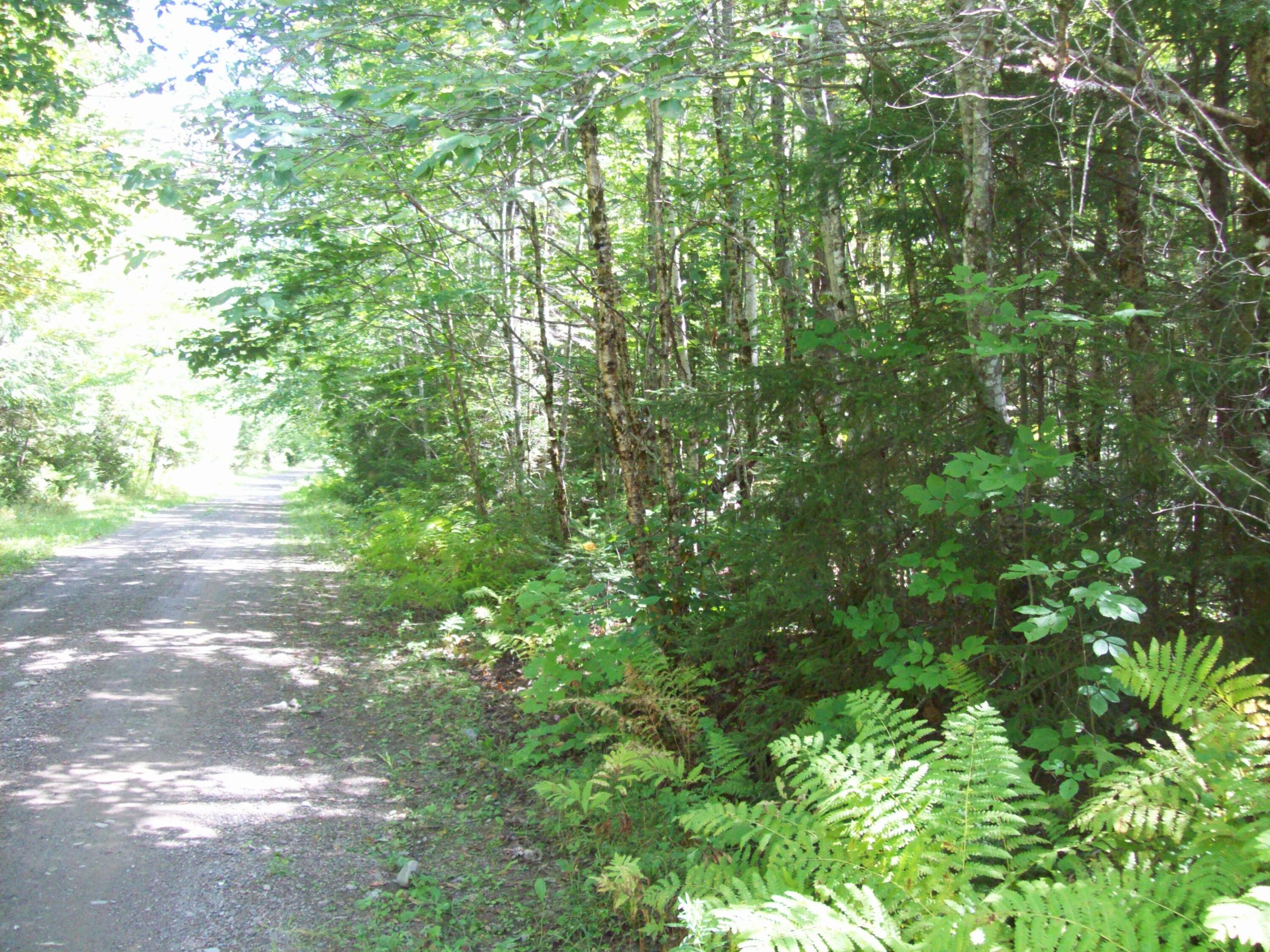 T7 R3 Independence Circle Springfield, ME 04487 - Photo 10 of 16 100_1213