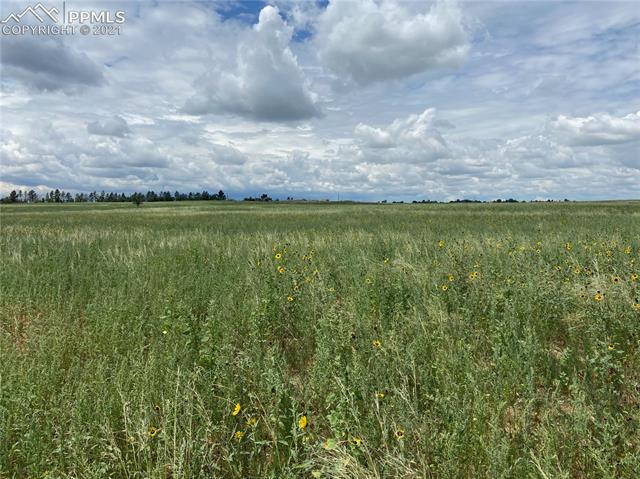 6451 South Johnson Road Rush, CO 80833 - Photo 7 of 46 South Views from NE Corner