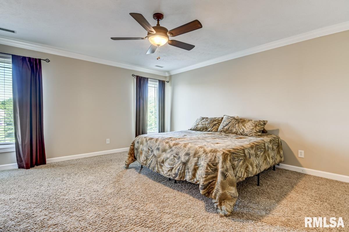 6316 Winterberry Lane Springfield, IL 62712 - Photo 21 of 54 Gallery Image 21