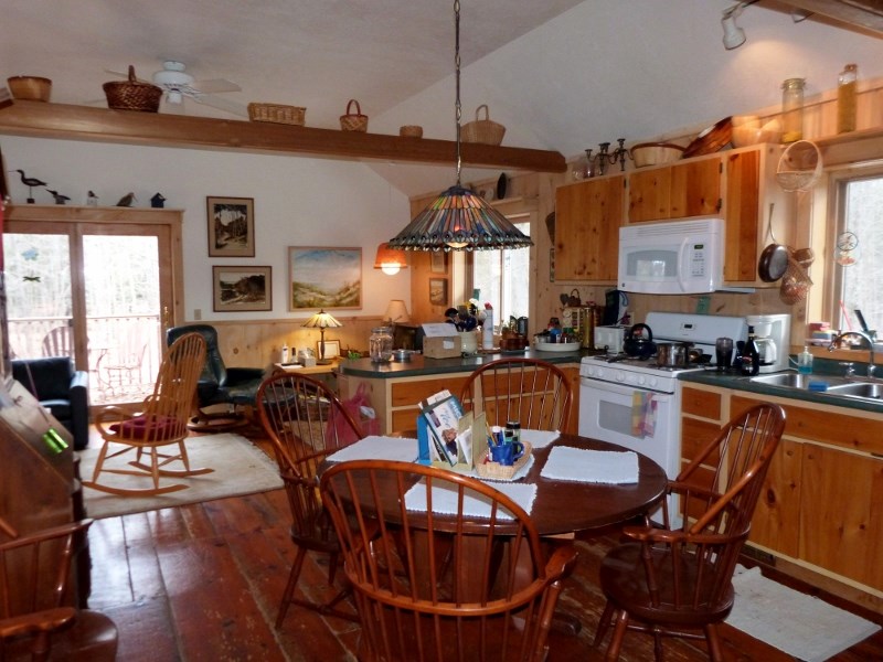14524 Springdale Road Thompsonville, MI 49683 - Photo 6 of 54 1812798-5.JPG