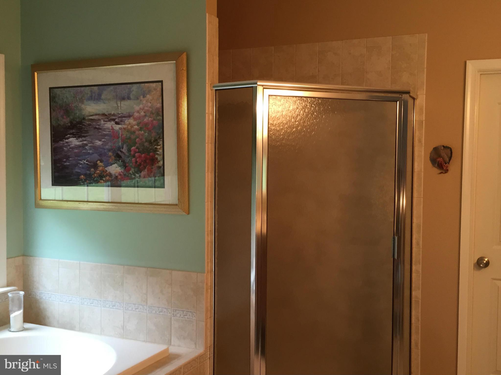 12205 Manor Road Glen Arm, MD 21057 - Photo 22 of 29 Bath (Master)